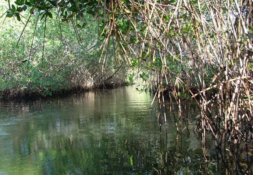 Juan Venado Island Nature Reserve, Near Las Peñitas, León, Nicaragua